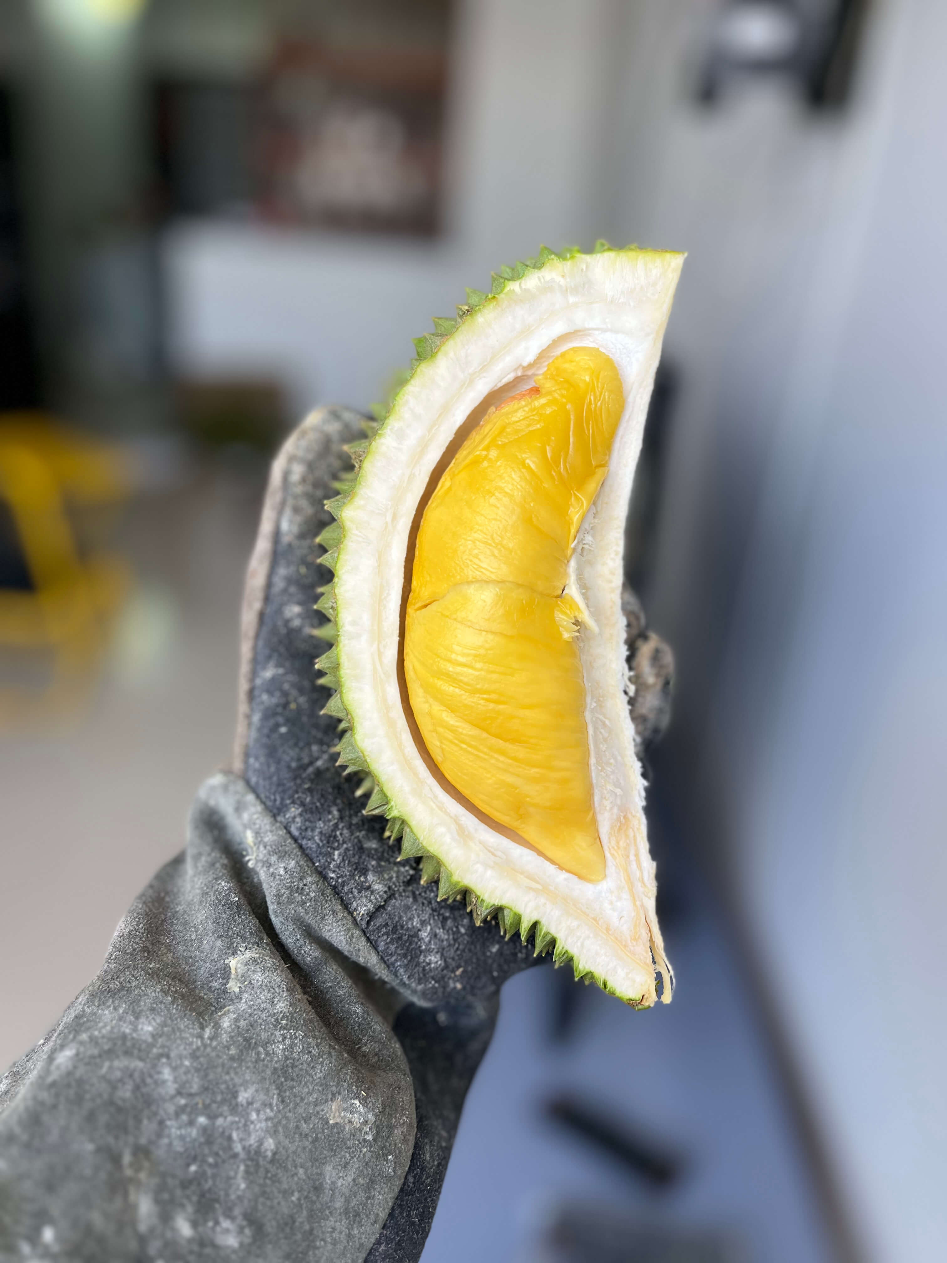 Musangking Miền Tây - Cơm vàng rực